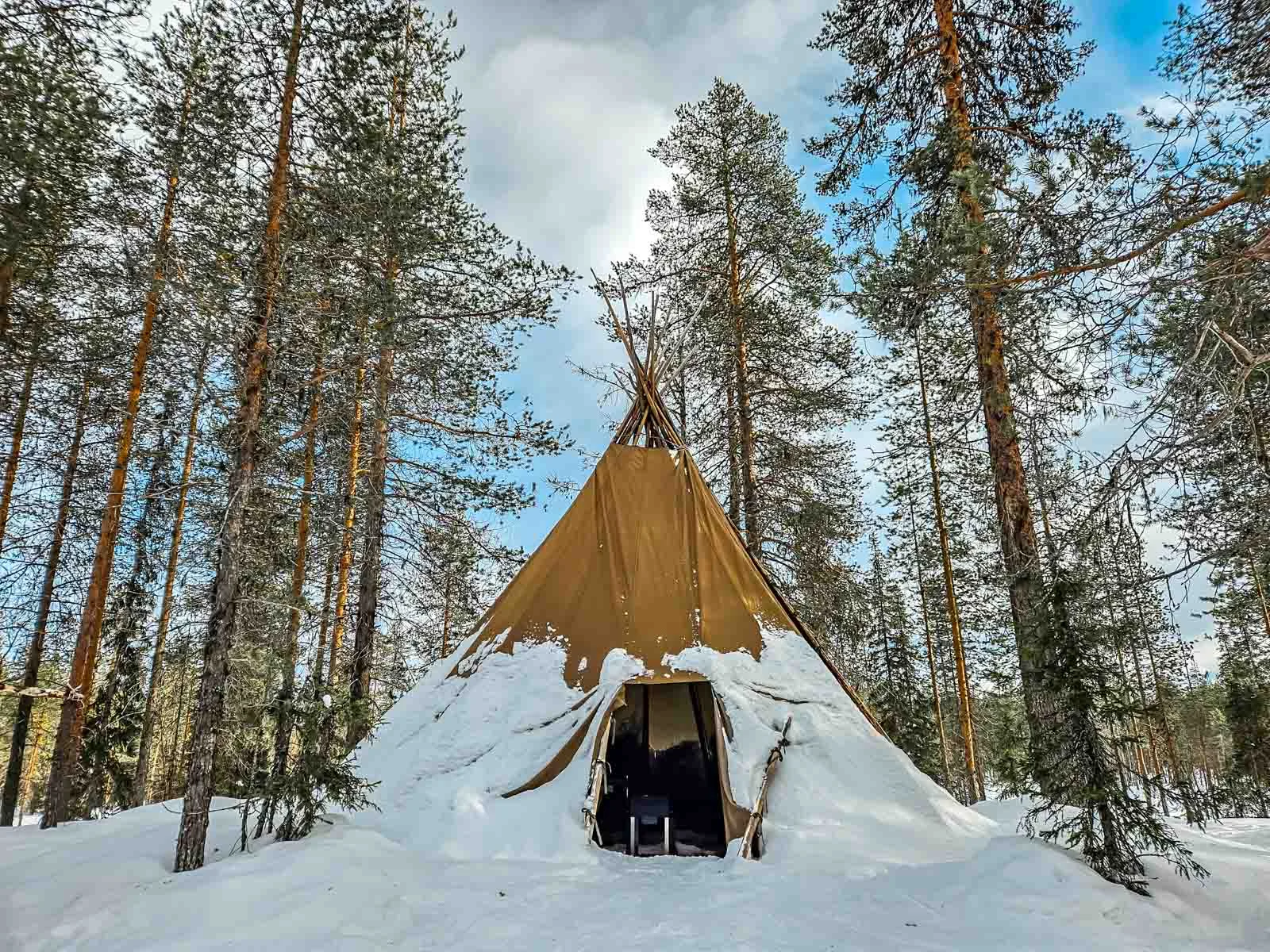 snowshoe 6