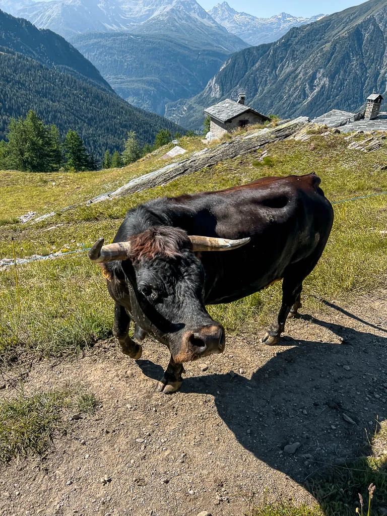 tour du mont blanc hike day1 3