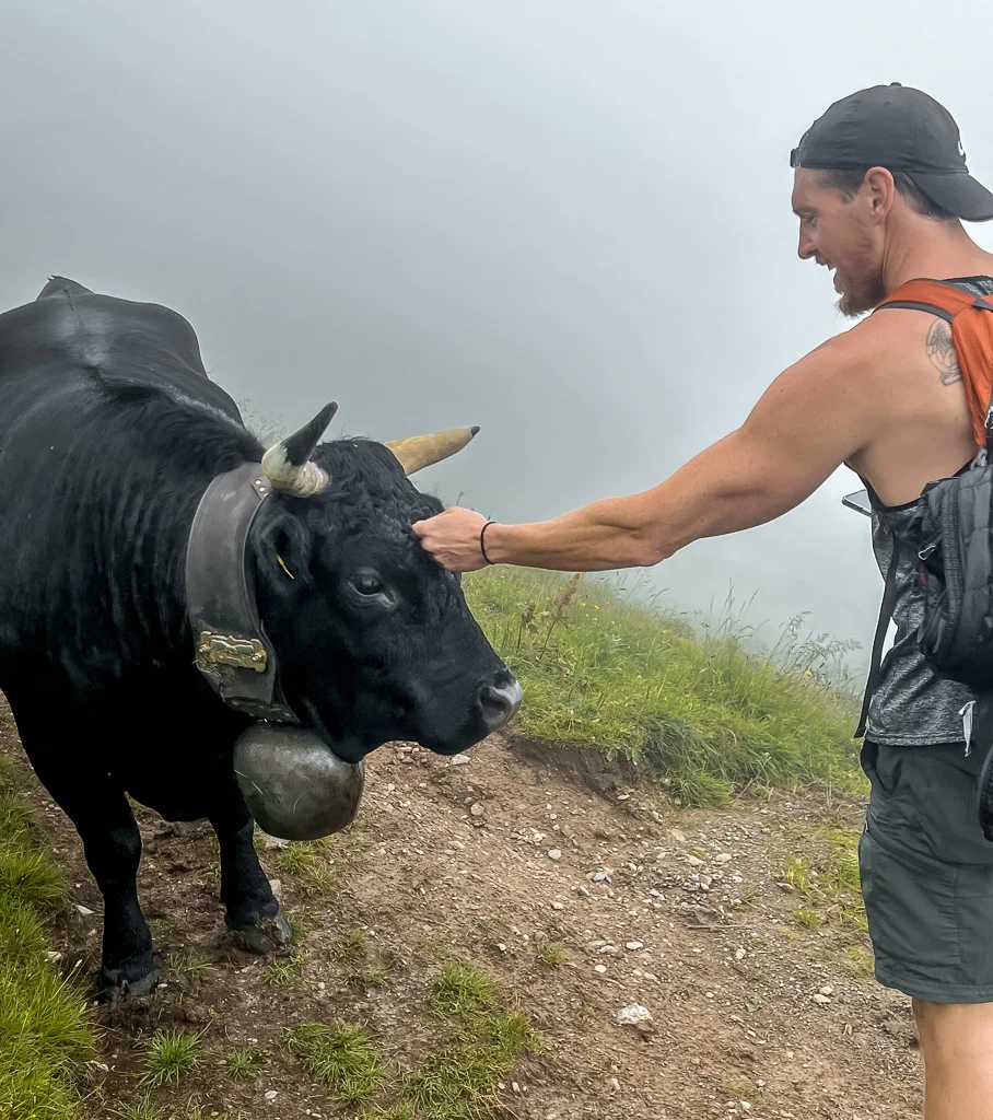 tour du mont blanc hike day4 3