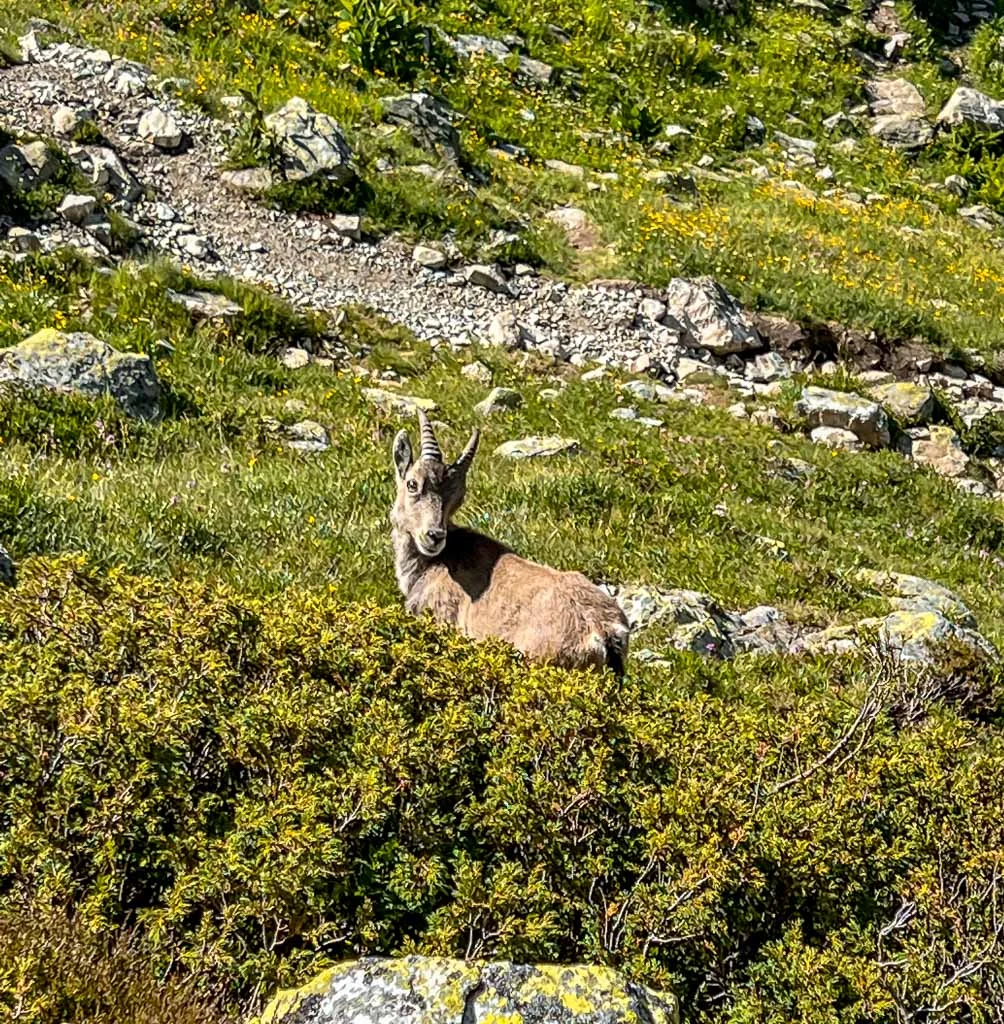 tour du mont blanc hike day6 2