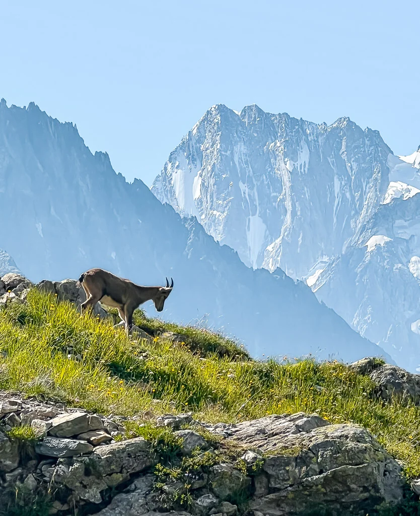 tour du mont blanc hike day6 3